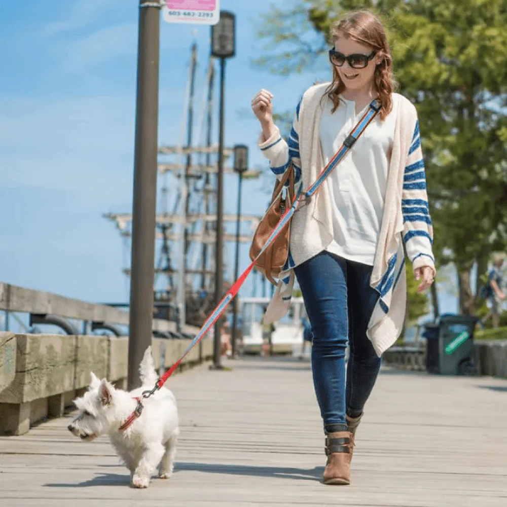 Kurgo Quantum 6 in 1 Dog Reflective Leash (Coastal Blue) - Image 7