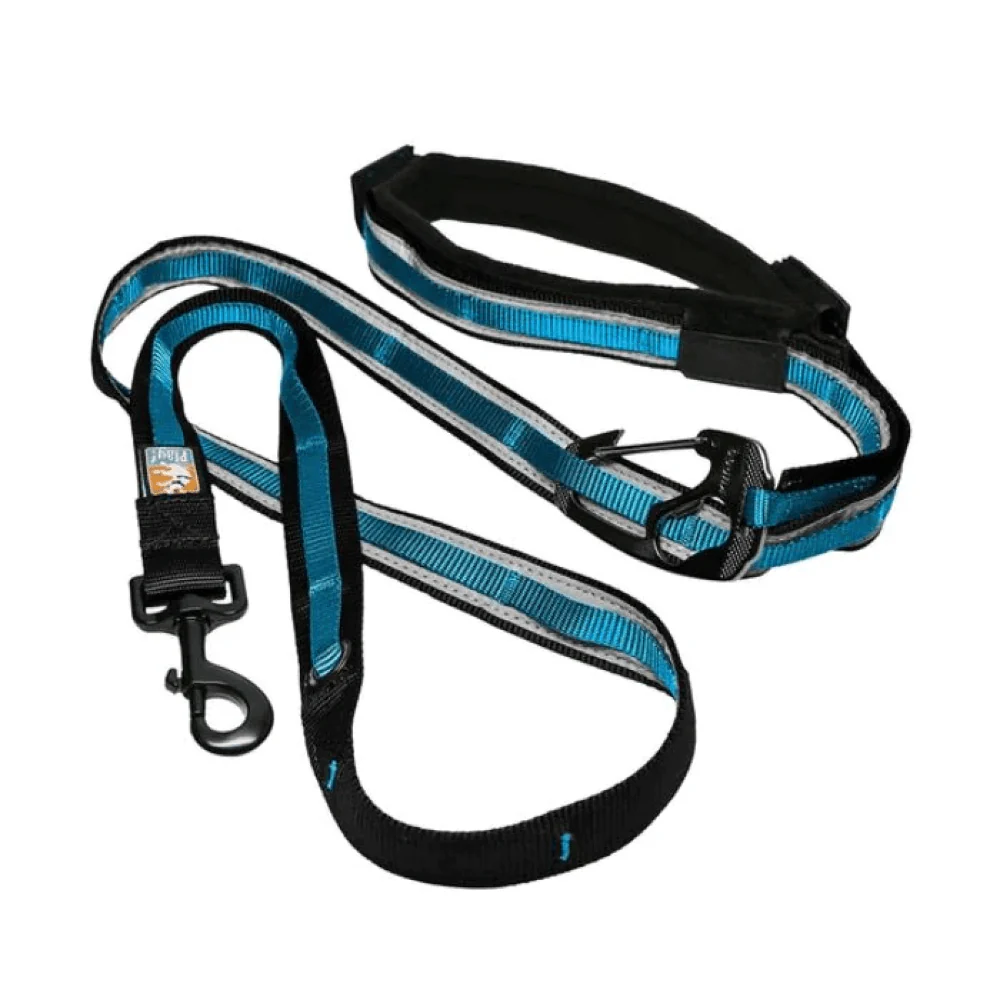 Kurgo Quantum 6 in 1 Dog Reflective Leash (Coastal Blue) - Image 9