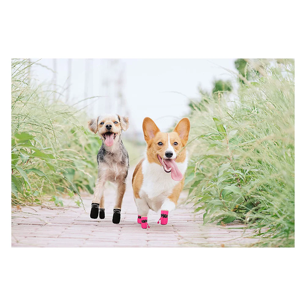 KUTKUT Boots for Dogs (Black) - Image 3