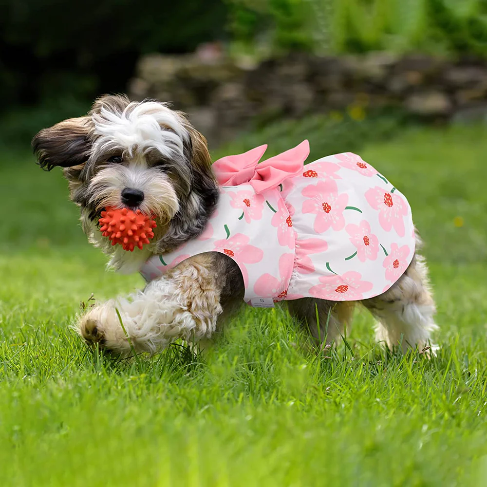 KUTKUT Cute Floral Pattern with Lovely Bow Dress for Small Dogs & Cats - Image 5