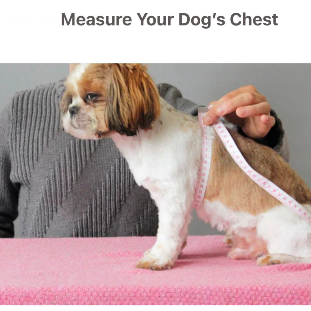 KUTKUT Cute Stripe Pattern Stretchable Shirt for Small Dogs & Cats - Image 9