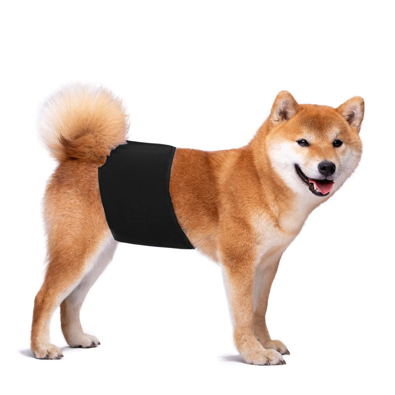 KUTKUT Diapers for Male Dogs (Black) - Image 10