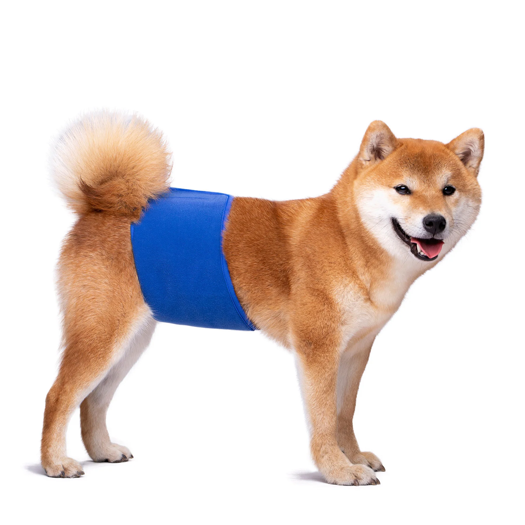 KUTKUT Diapers for Male Dogs (Blue) - Image 10