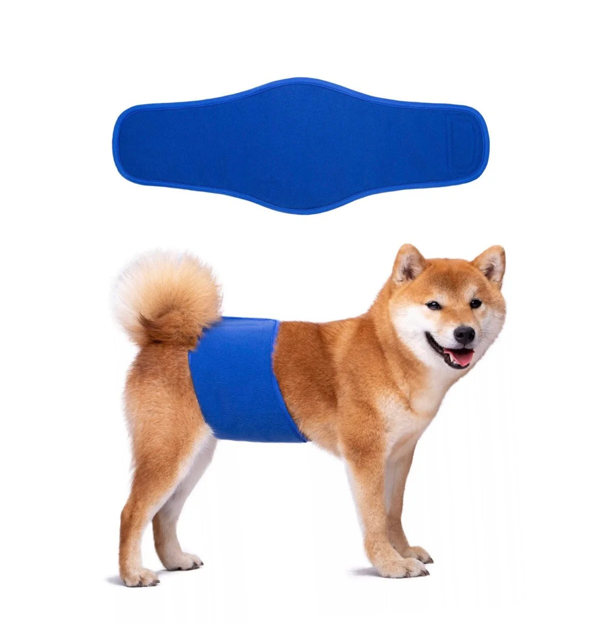 KUTKUT Diapers for Male Dogs (Blue) - Image 2