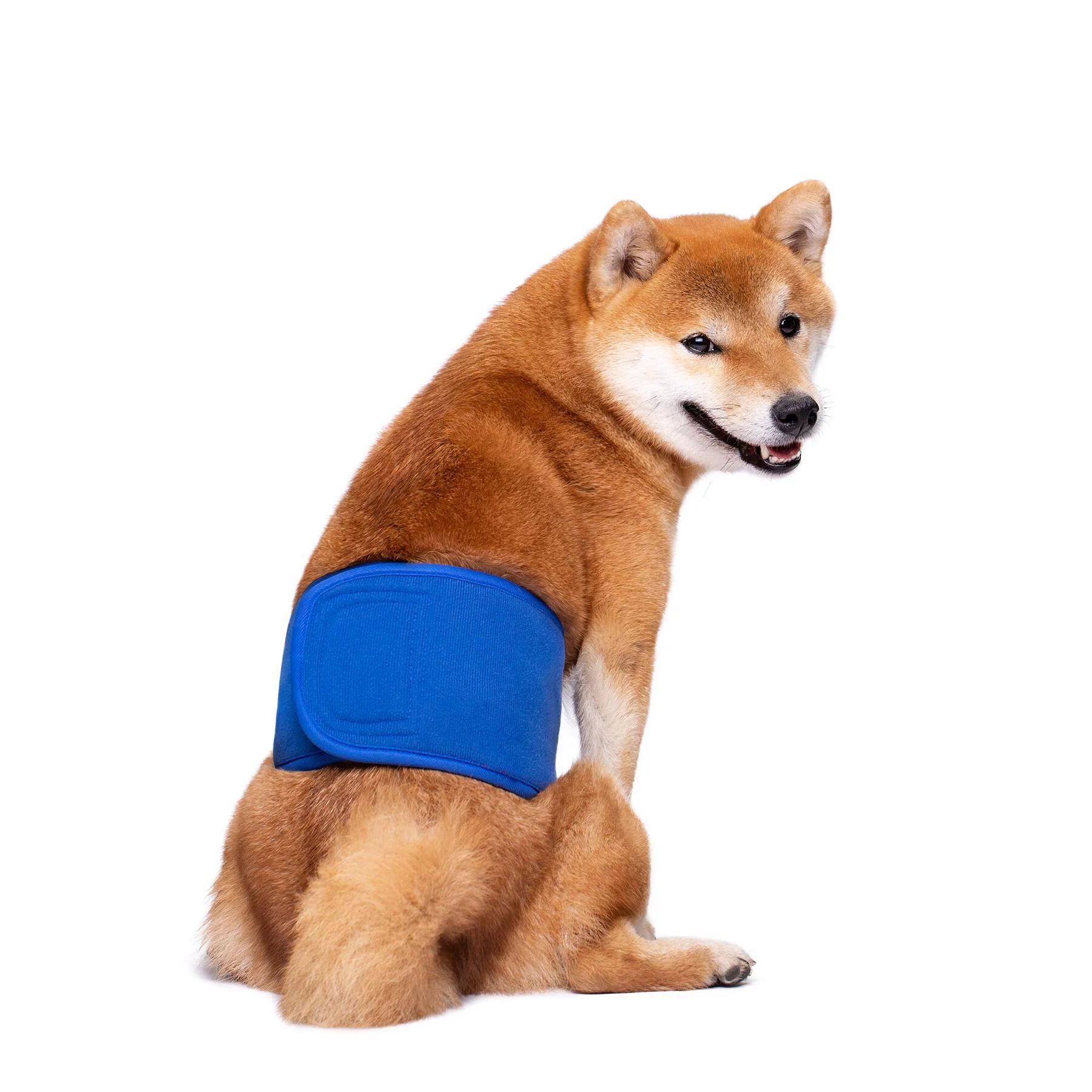 KUTKUT Diapers for Male Dogs (Blue) - Image 8