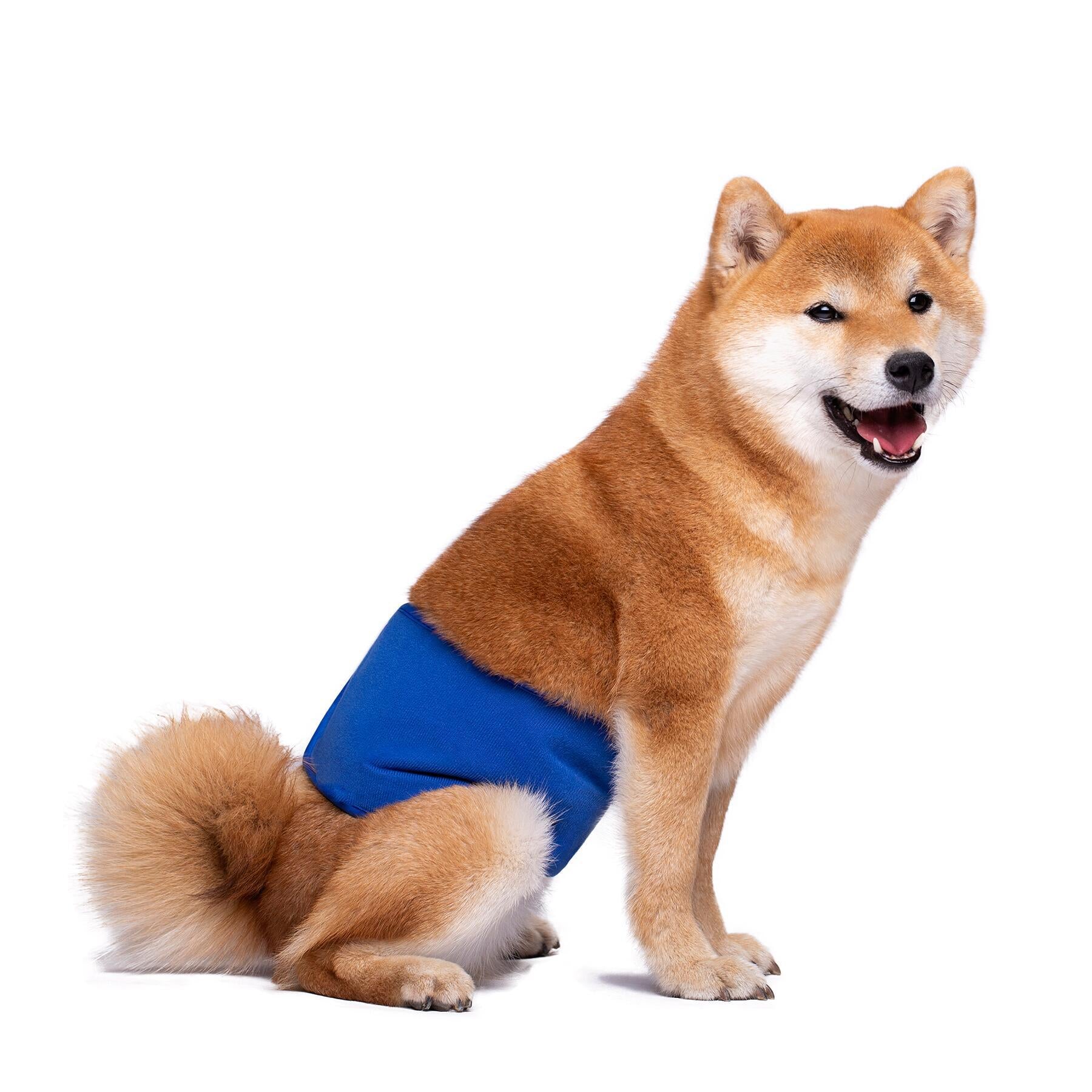 KUTKUT Diapers for Male Dogs (Blue) - Image 9