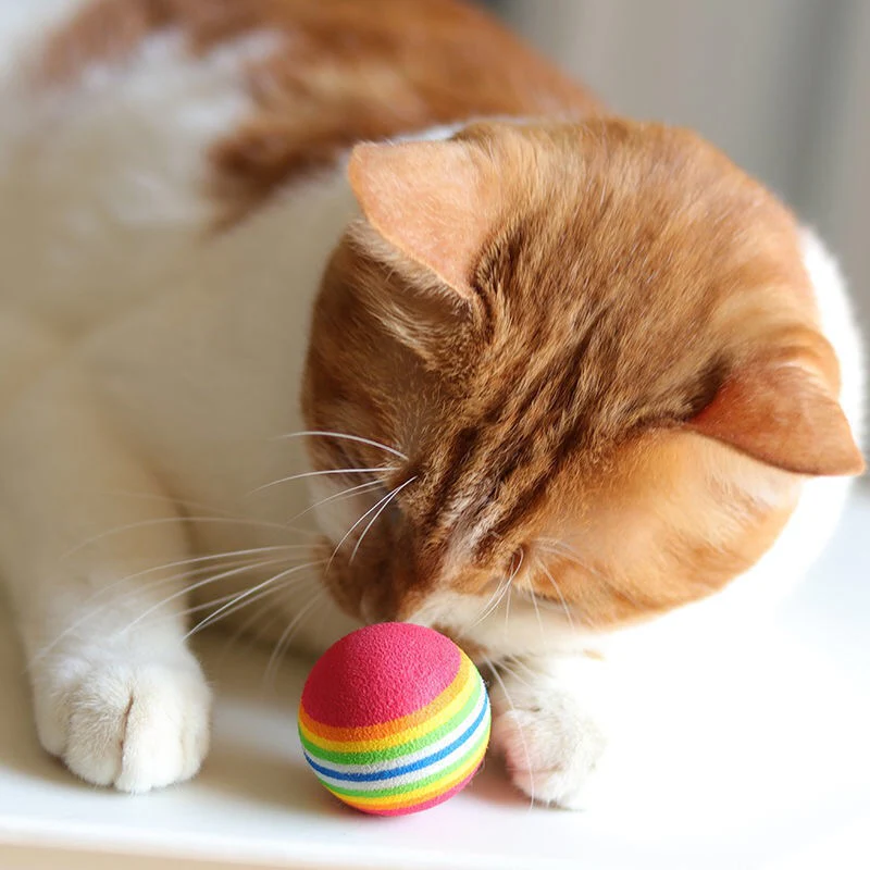 KUTKUT Foam Balls for Cats (Rainbow) - Image 17