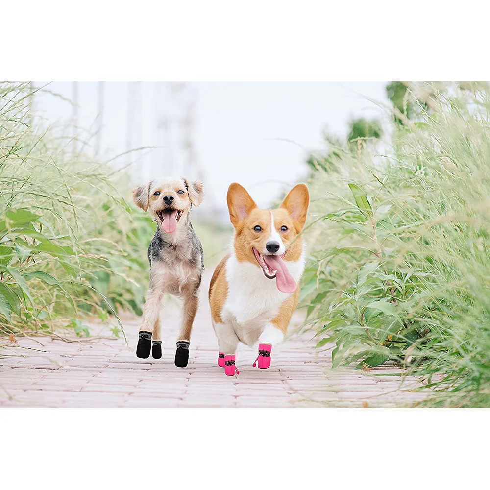 KUTKUT Paw Protector Boots for Small Dogs (Black) - Image 5