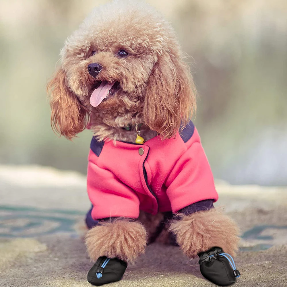 KUTKUT Paw Protector Boots for Small Dogs (Black) - Image 8