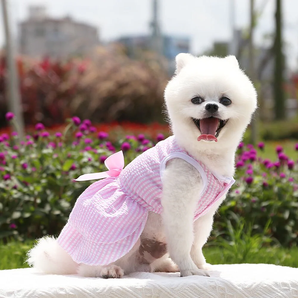 KUTKUT Princess Tutu Striped Dress for Small Breed Dogs & Cats (Pink) - Image 2