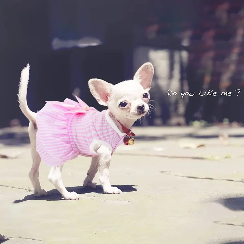 KUTKUT Princess Tutu Striped Dress for Small Breed Dogs & Cats (Pink) - Image 6