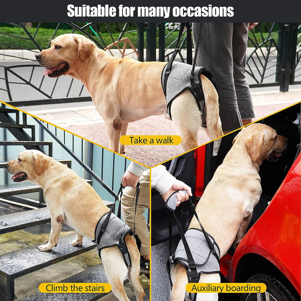 KUTKUT Rehabilitation Sling Hind Limb Support Lift Harness for Dogs (Grey) - Image 5