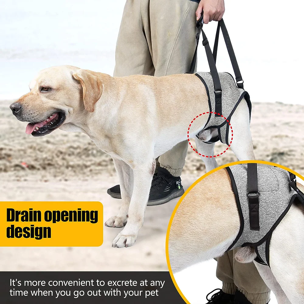 KUTKUT Rehabilitation Sling Hind Limb Support Lift Harness for Dogs (Grey) - Image 6