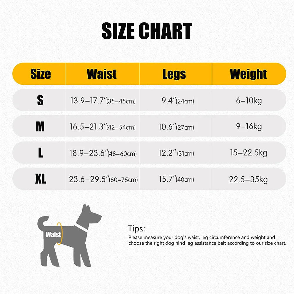 KUTKUT Rehabilitation Sling Hind Limb Support Lift Harness for Dogs (Grey) - Image 7