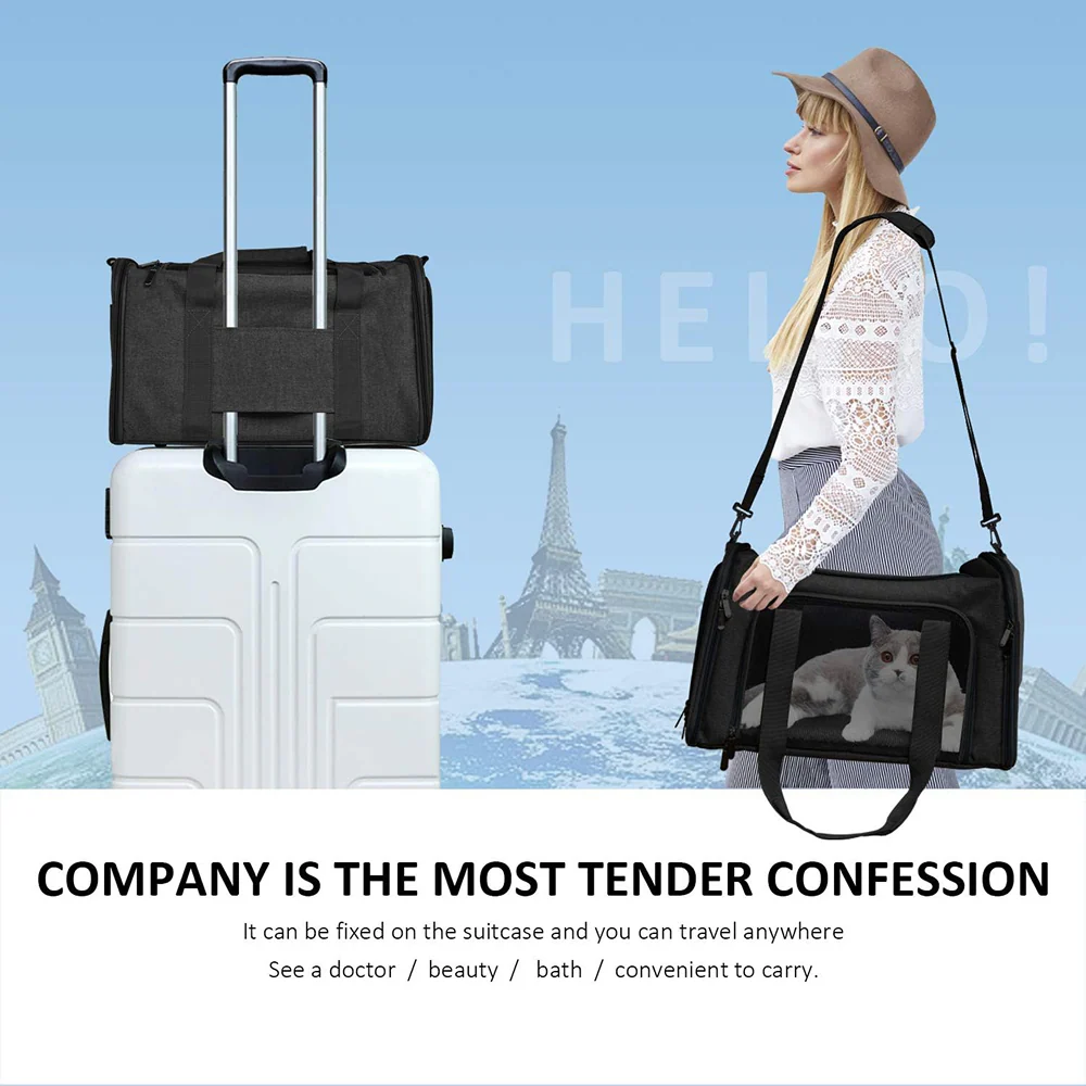 KUTKUT Soft Sided Airline Approved Foldable Travel Carrier for Small Dogs & Cat (Black) - Image 5