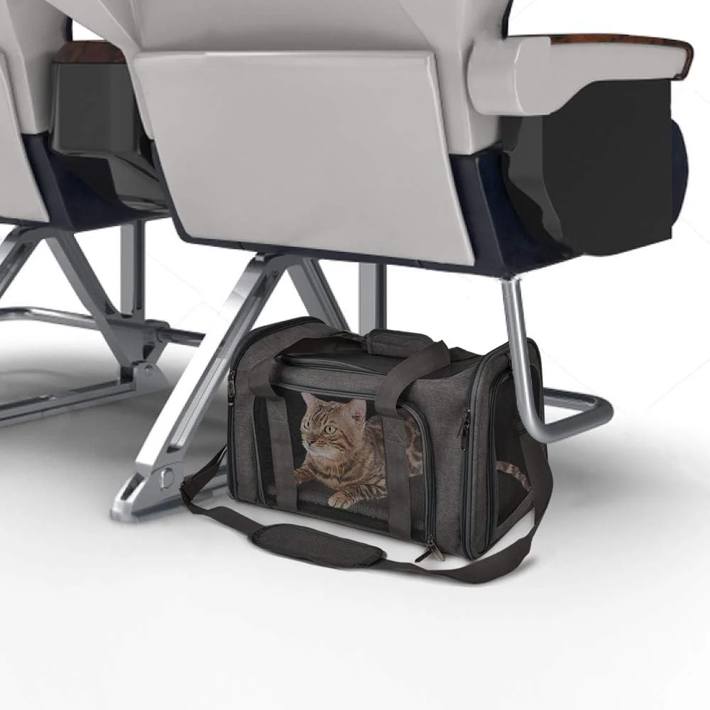 KUTKUT Soft Sided Airline Approved Foldable Travel Carrier for Small Dogs & Cat (Black) - Image 8