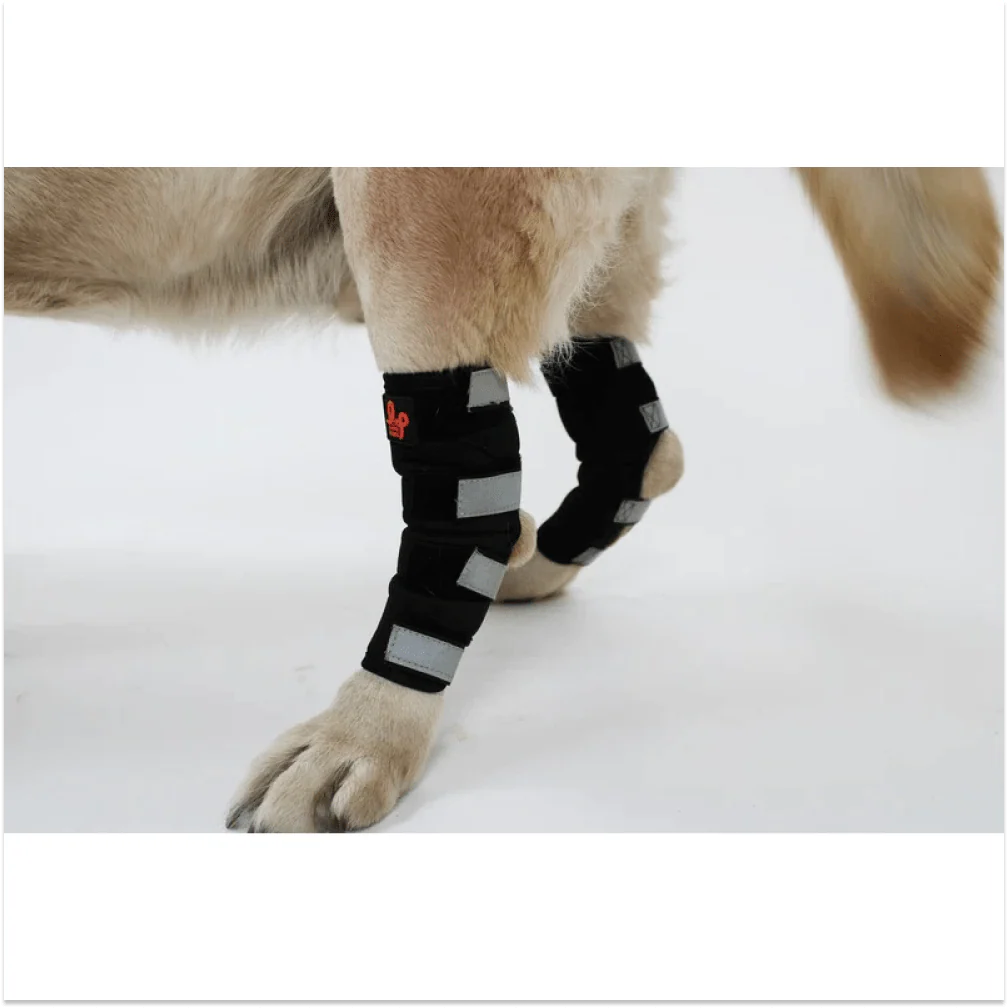 Lana Paws Back Leg Compression Braces for Hock Joint Ankle Support & Mobility for Dogs and Cats (Black) - Image 4