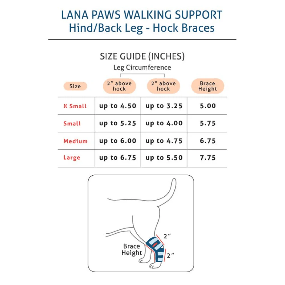 Lana Paws Back Leg Splint Braces for Hock Joint Ankle Support & Mobility for Dogs and Cats (Black) - Image 2