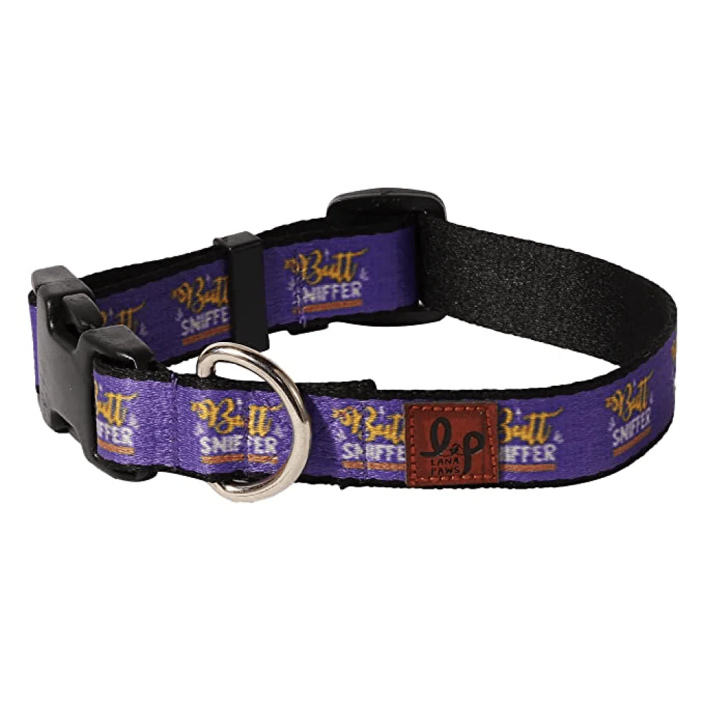 Lana Paws Butt Sniffer Collar for Dogs (Purple) - Image 6