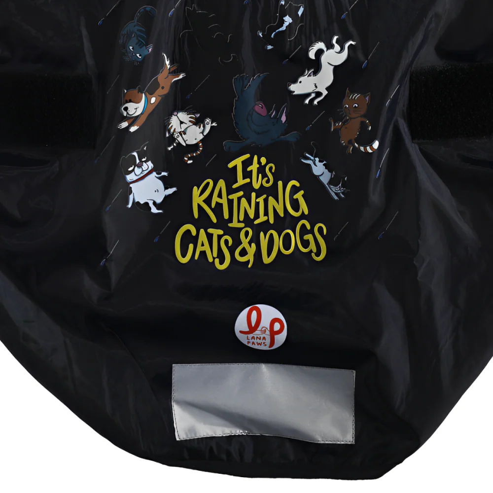 Lana Paws Its Raining Cats & Dogs Printed Raincoat for Dogs (Navy Blue) - Image 3