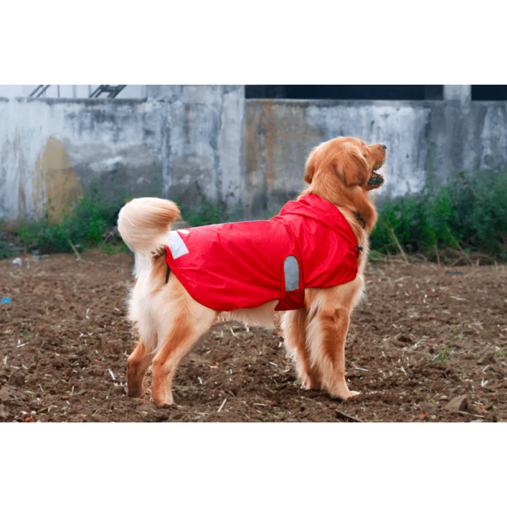 The Drizzle Deflector - Adjustable & Reflective Raincoat for Dogs by Lana Paws (Red Solid) - Image 3