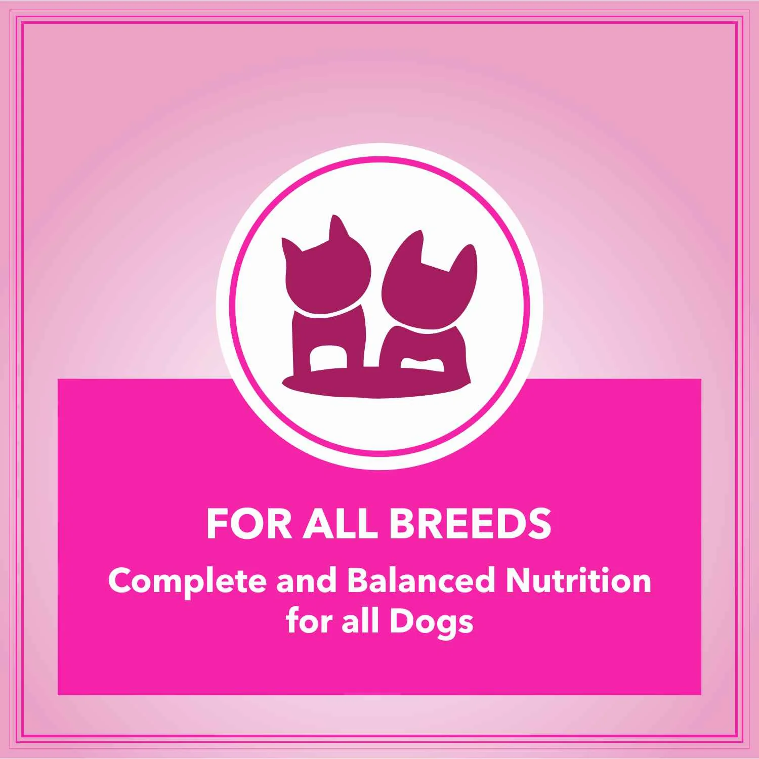 Let's Bite Active Adult Chicken Dry Food for Dogs - Image 5