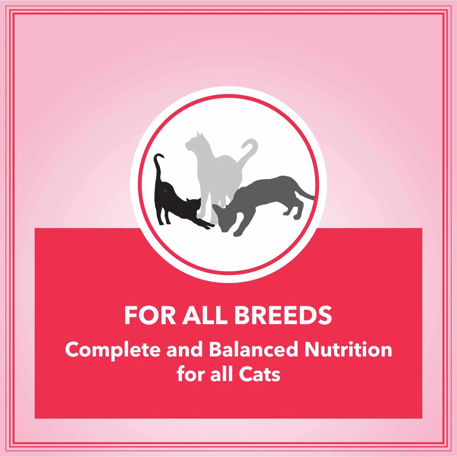 Let's Bite Active Adult Ocean Fish Dry Cat Food - Image 7