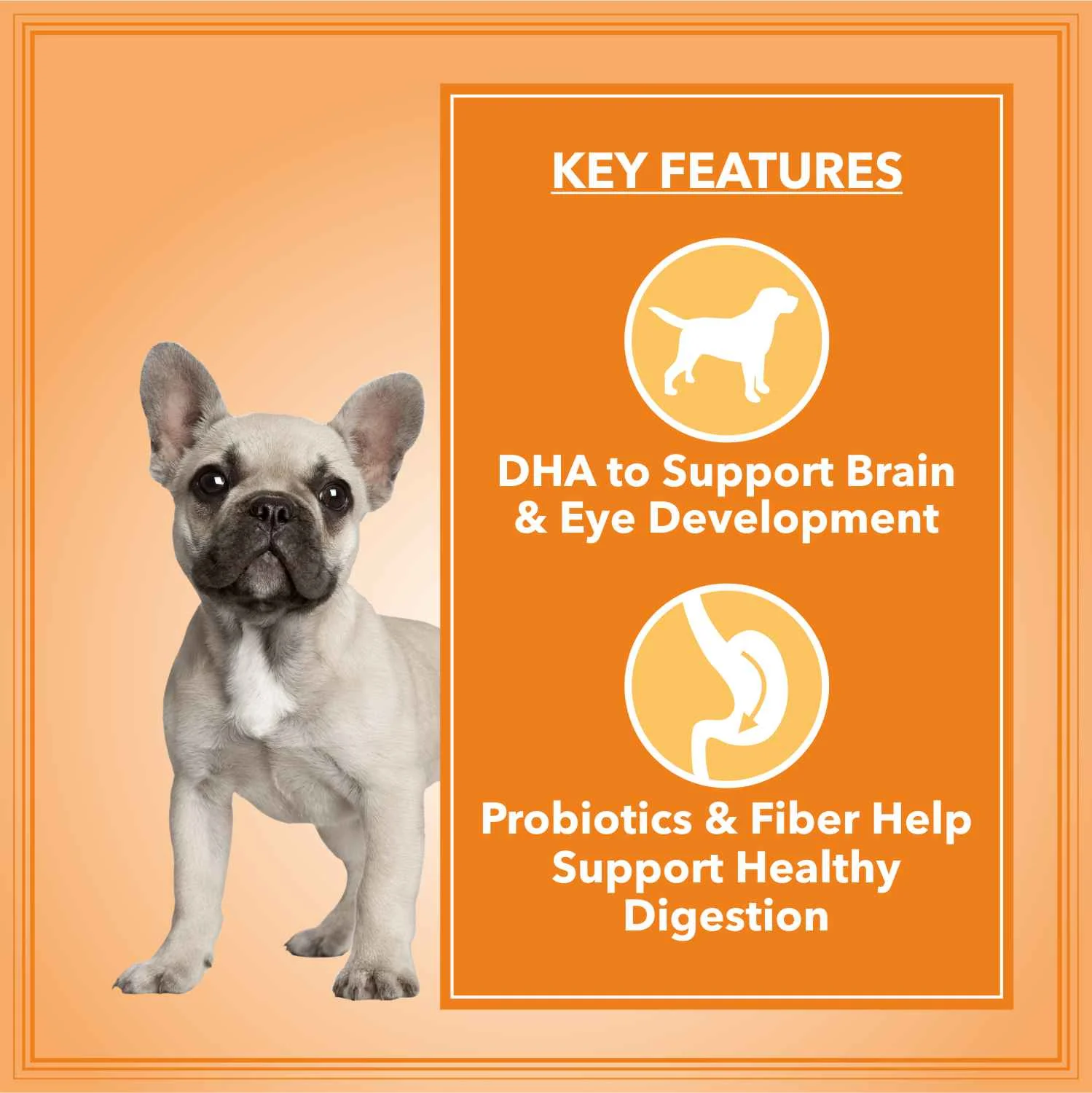 Let's Bite Active Puppy Chicken Dog Dry Food - Image 2