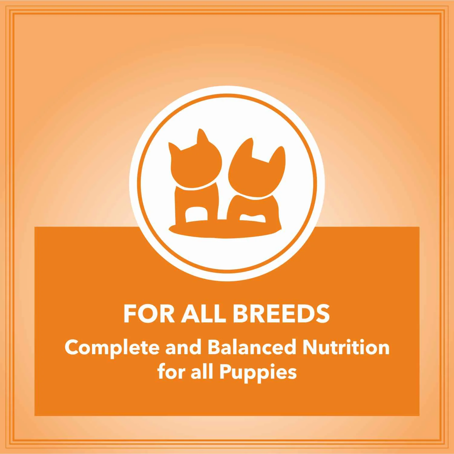 Let's Bite Active Puppy Chicken Dog Dry Food - Image 4