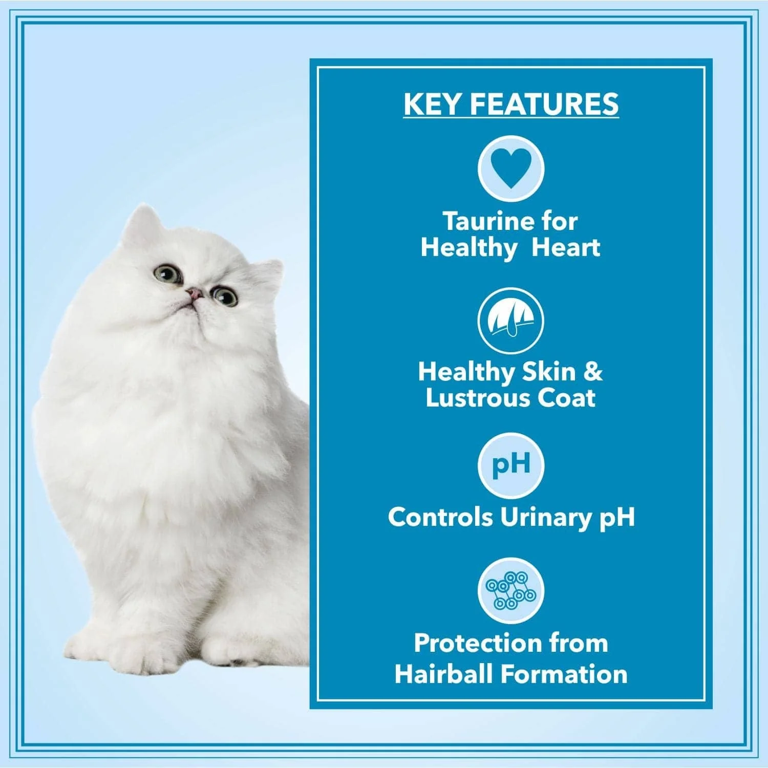 Let's Bite Active Persian Ocean Fish Cat Dry Food - Image 4
