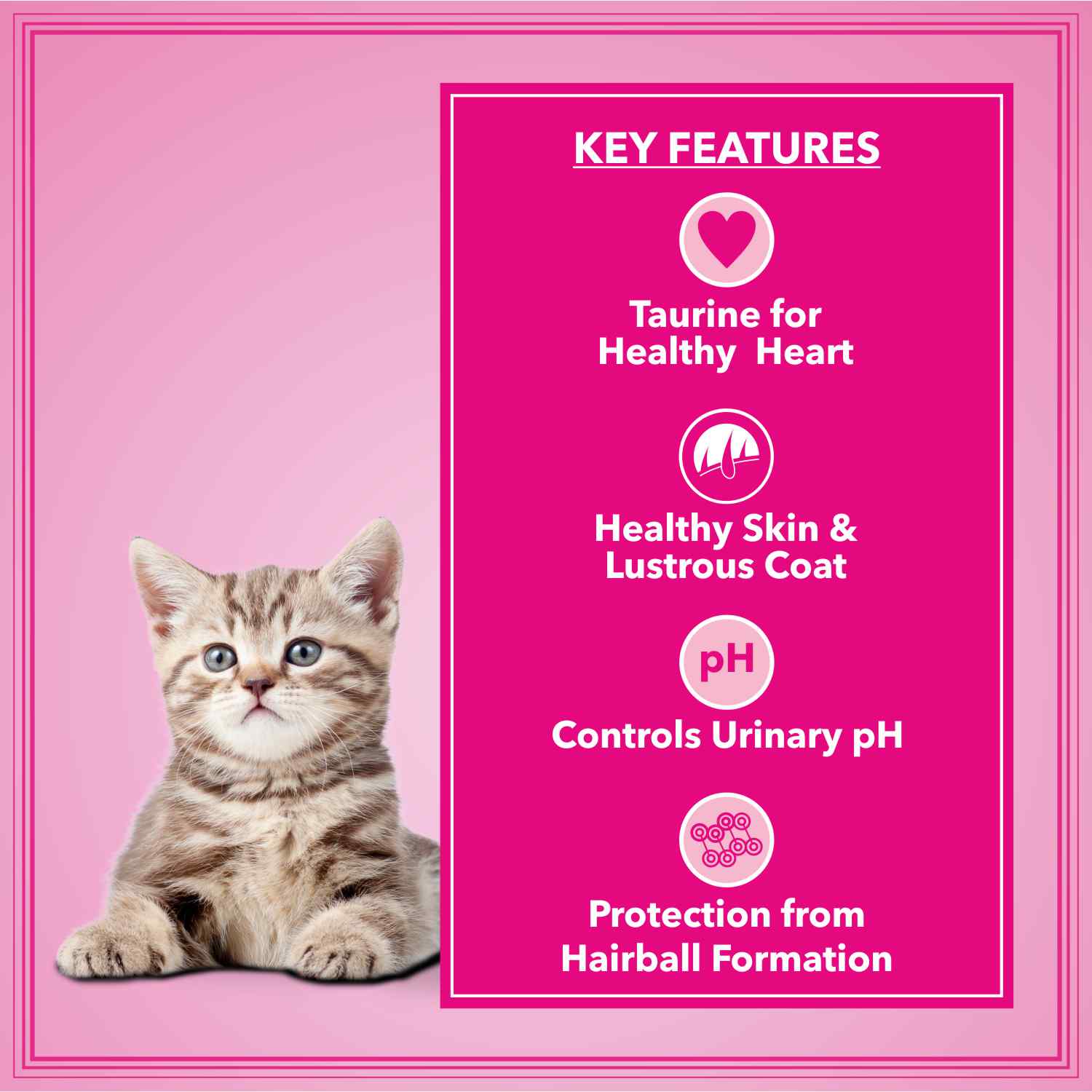 Let's Bite Active Kitten Ocean Fish Cat Dry Food (Buy 1 Get 1 Free) - Image 4