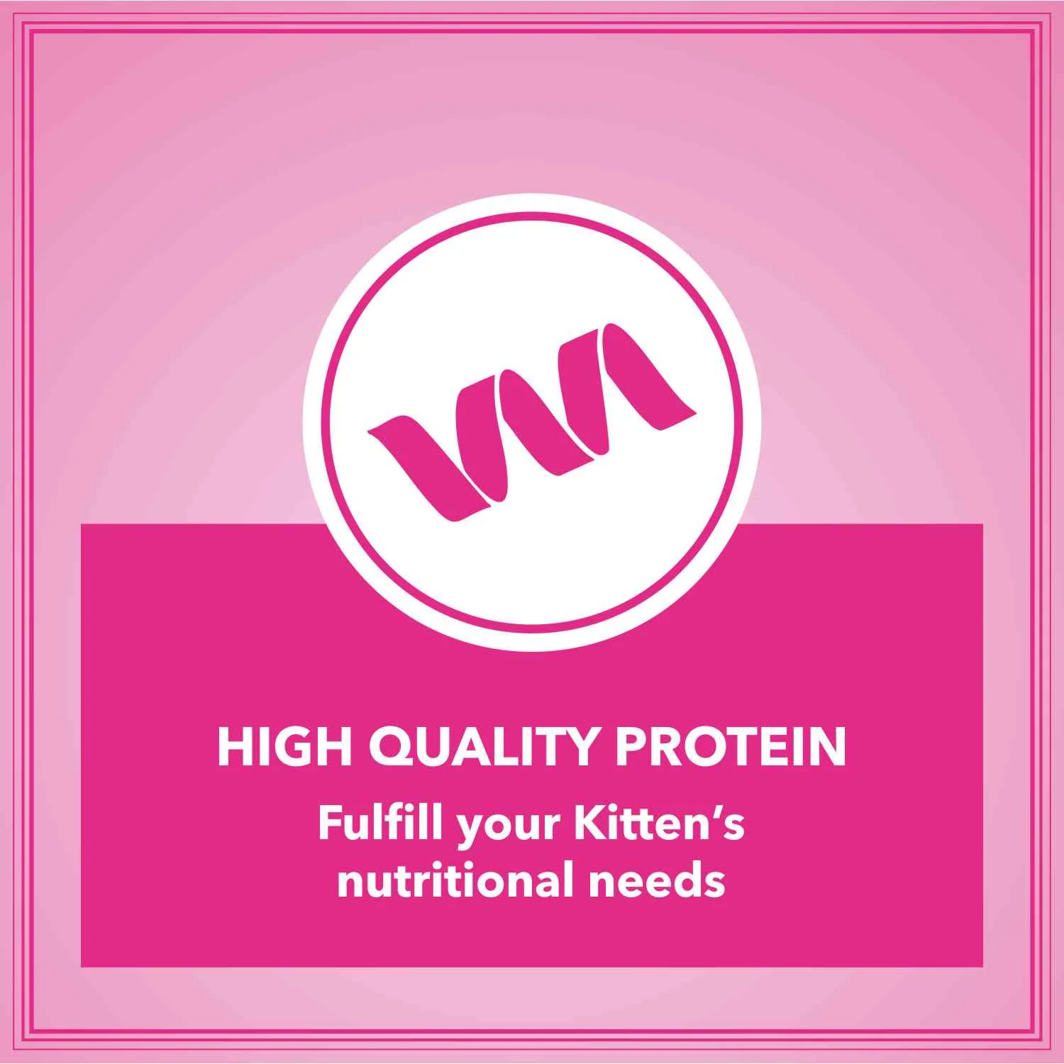 Let's Bite Active Kitten Ocean Fish Cat Dry Food (Buy 1 Get 1 Free) - Image 5