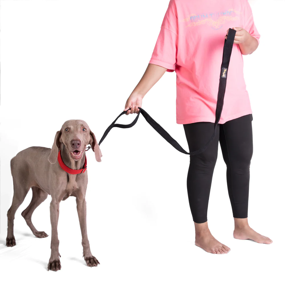 Let's Wag Double Handle Fabric Leash for Dogs (Black) - Image 5