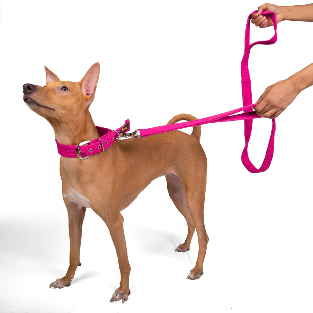 Let's Wag Double Handle Fabric Leash for Dogs (Pink) - Image 7