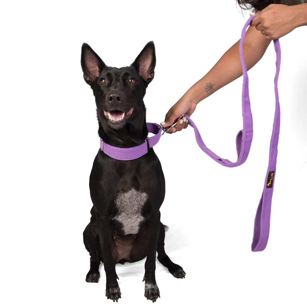 Let's Wag Double Handle Fabric Leash for Dogs (Purple) - Image 5
