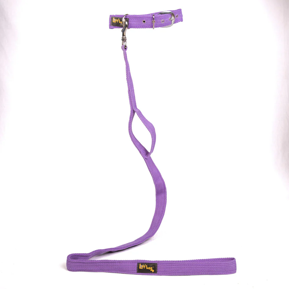 Let's Wag Double Handle Fabric Leash for Dogs (Purple) - Image 6