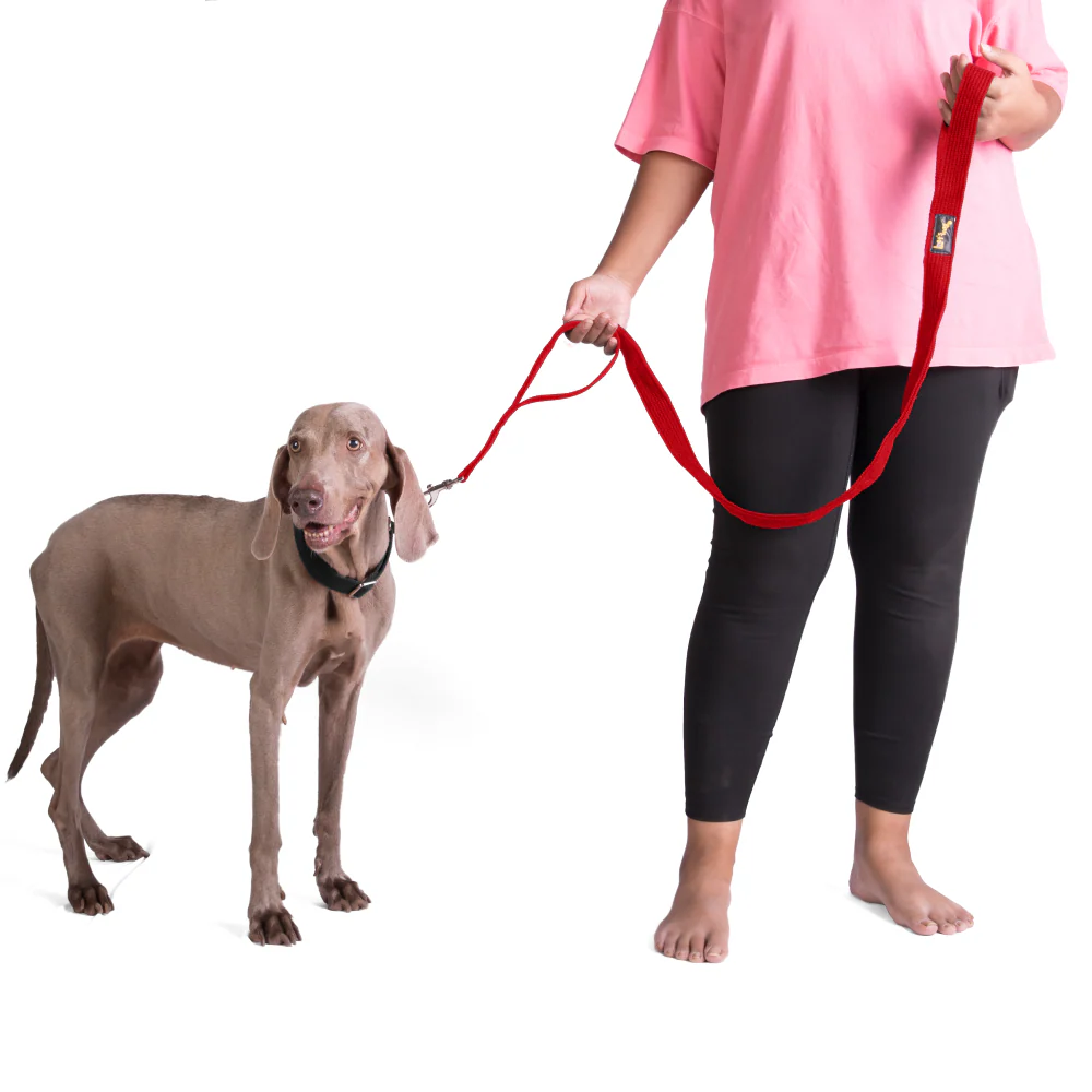 Let's Wag Double Handle Fabric Leash for Dogs (Red) - Image 5