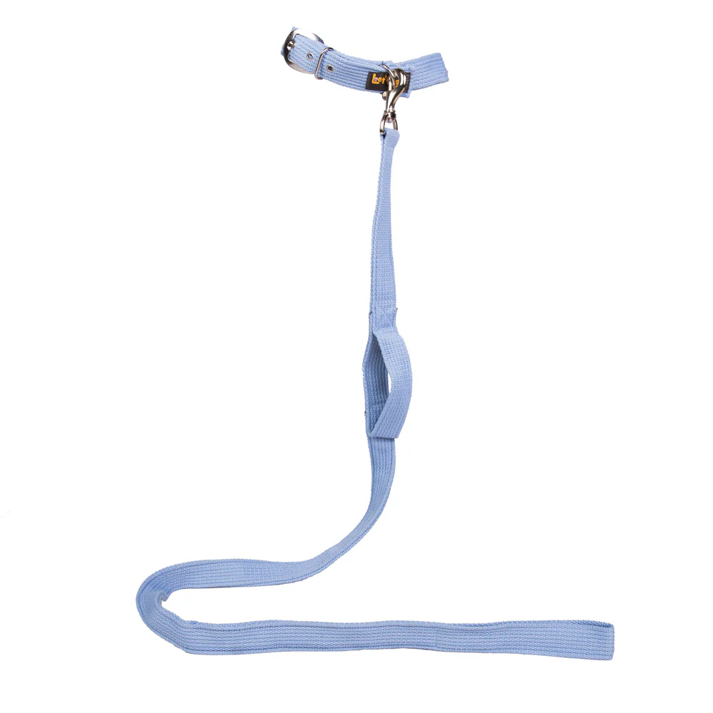 Let's Wag Double Handle Fabric Leash for Dogs (Sky Blue) - Image 3