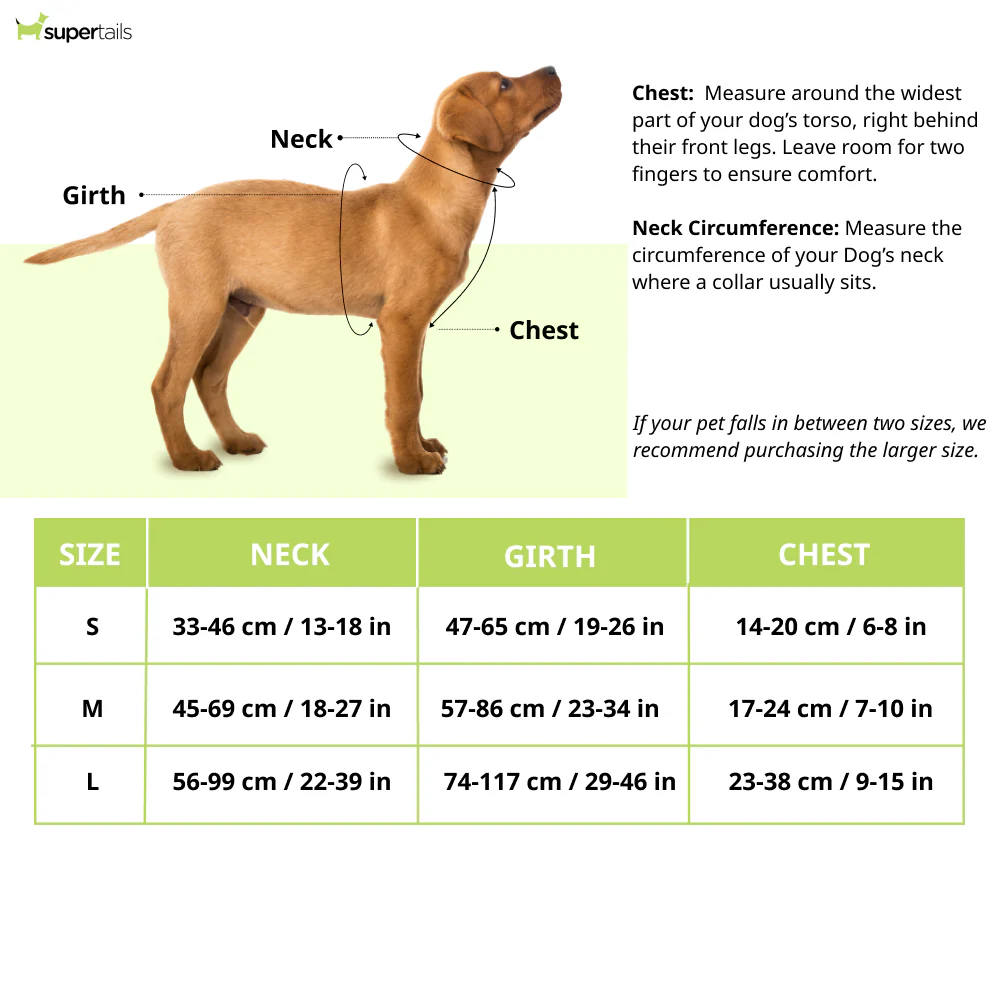 Let's Wag H Harness for Dogs (Black) - Image 2