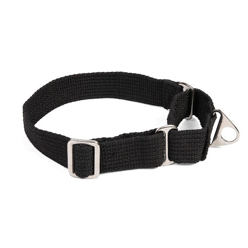 Let's Wag Martingale Collar for Dogs (Black) - Image 2