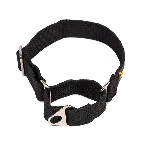 Let's Wag Martingale Collar for Dogs (Black) - Image 4