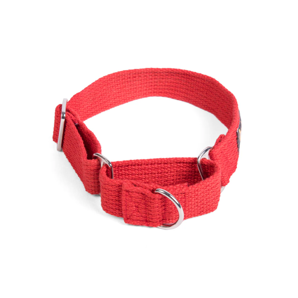 Let's Wag Martingale Collar for Dogs (Red) - Image 3