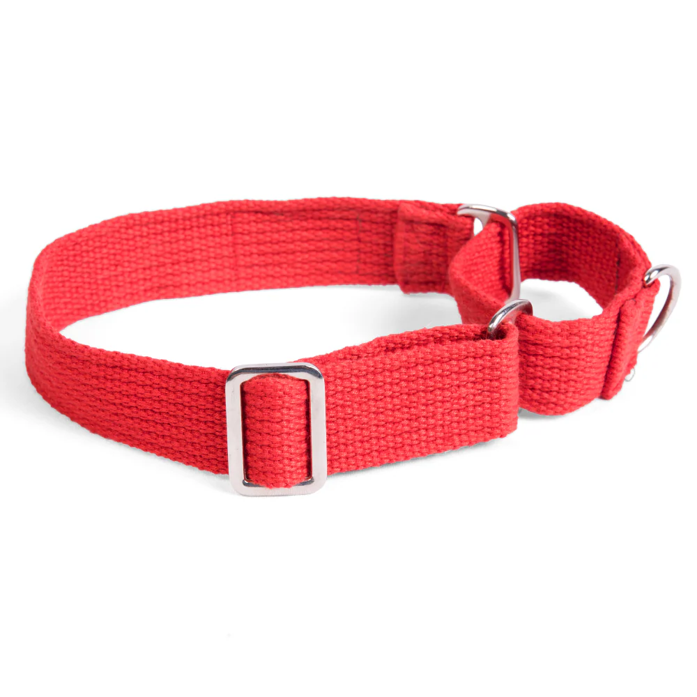 Let's Wag Martingale Collar for Dogs (Red) - Image 4