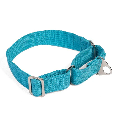 Let's Wag Martingale Fabric Collar for Dogs (Cobalt Blue) - Image 3