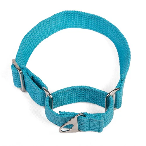 Let's Wag Martingale Fabric Collar for Dogs (Cobalt Blue) - Image 5