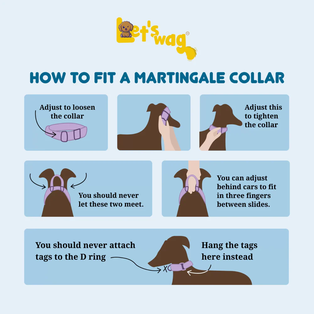 Let's Wag Martingale Fabric Collar for Dogs (Cobalt Blue) - Image 6