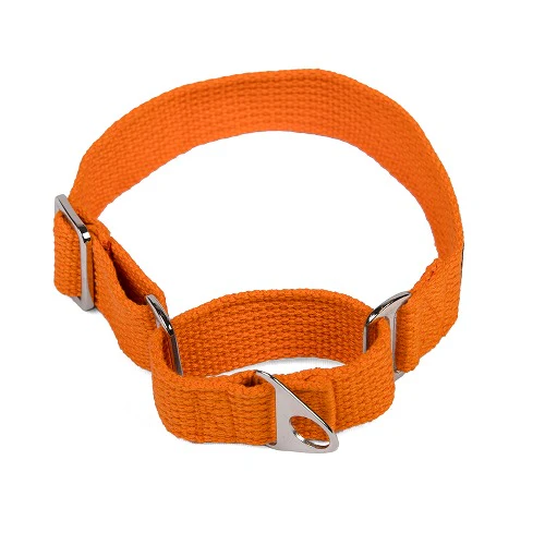 Let's Wag Martingale Fabric Collar for Dogs (Orange) - Image 5