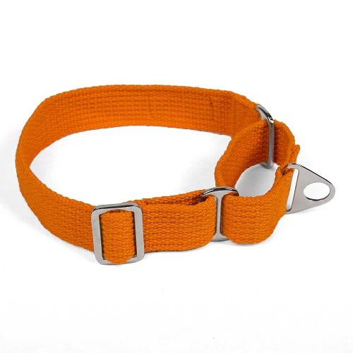 Let's Wag Martingale Fabric Collar for Dogs (Orange) - Image 6
