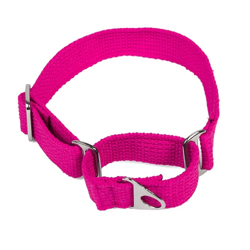 Let's Wag Martingale Fabric Collar for Dogs (Pink) - Image 2