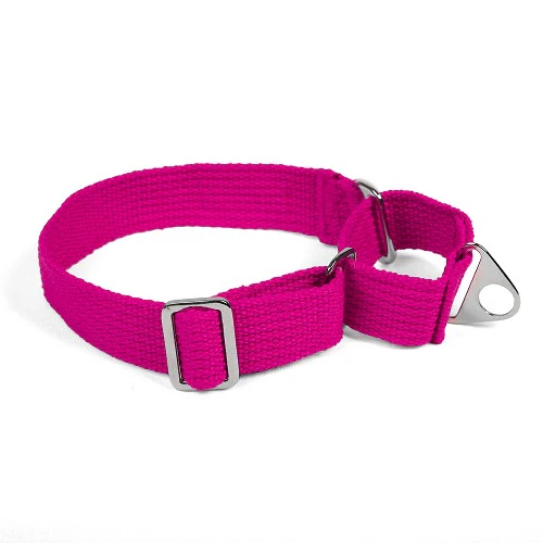 Let's Wag Martingale Fabric Collar for Dogs (Pink) - Image 6